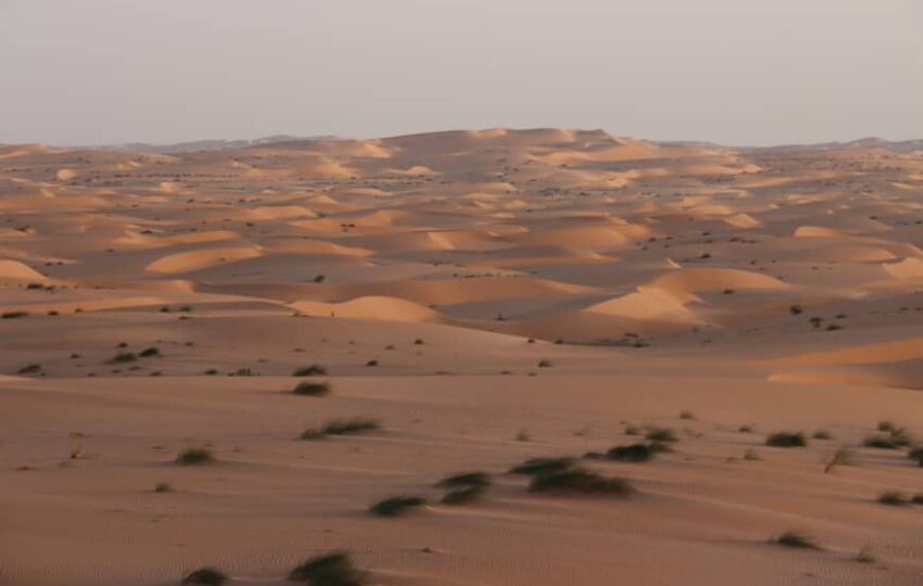 Desert and Ocean Tour (10)