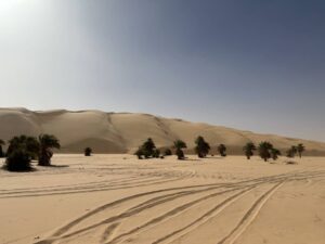 Gallery Thumbnail 12