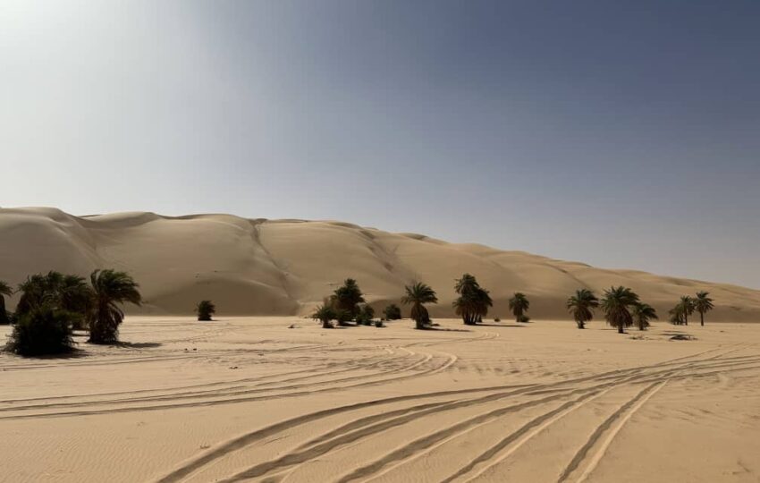 Desert and Ocean Tour (14)