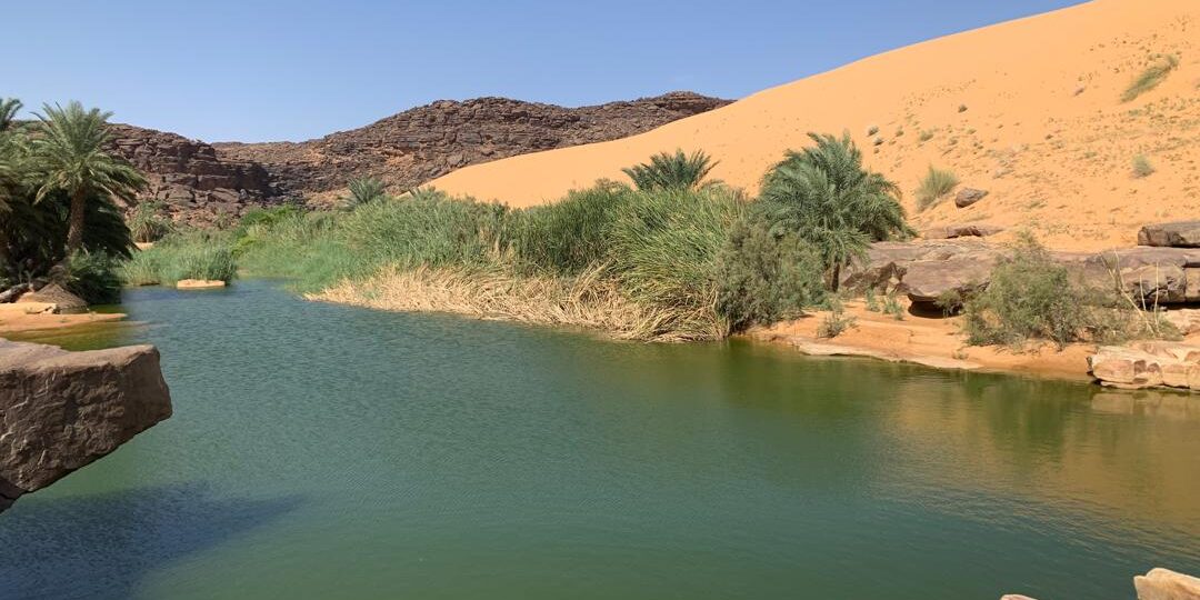 Desert and Ocean Tour (4)