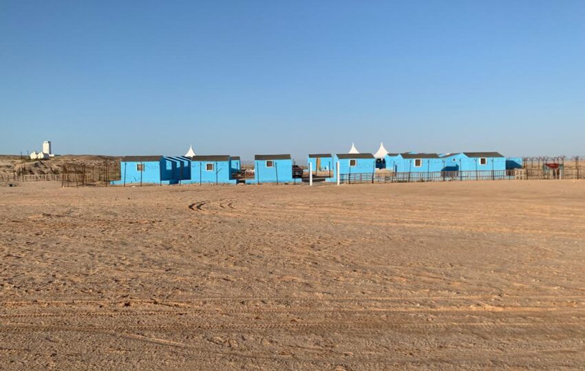 Desert and Ocean Tour (5)