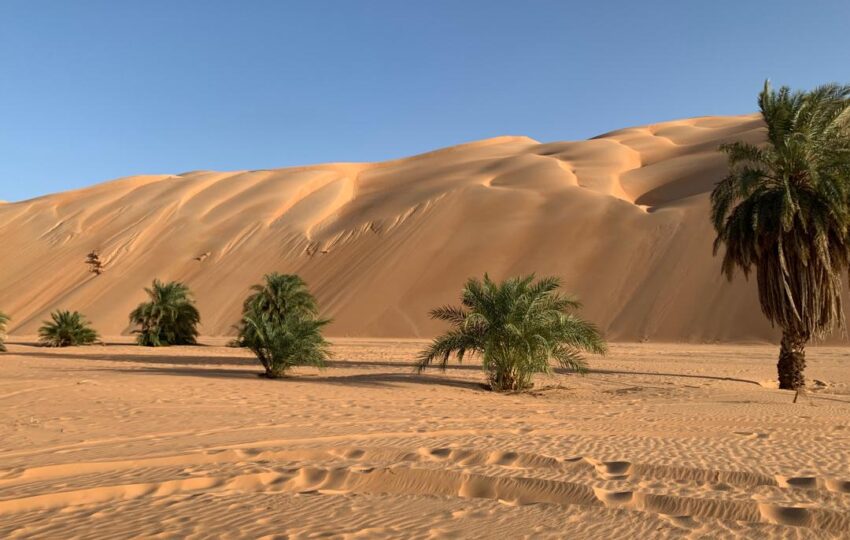 Desert and Ocean Tour (6)