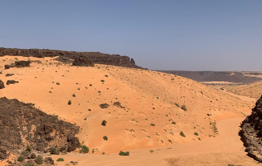 Desert and Ocean Tour (9)