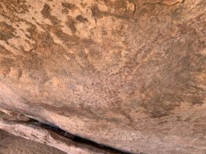 Gallery Thumbnail 14