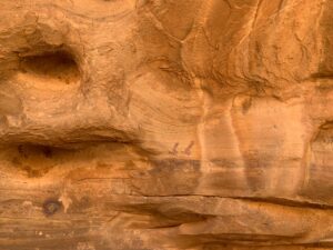 Gallery Thumbnail 17