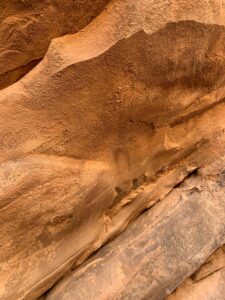 Gallery Thumbnail 29