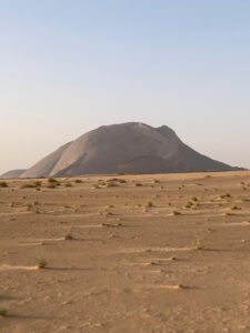 Gallery Thumbnail 18