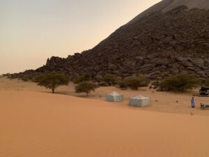 Gallery Thumbnail 21