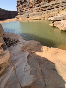 Gallery Thumbnail 21