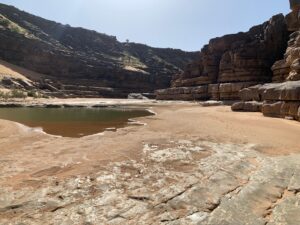 Gallery Thumbnail 22