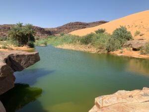 Gallery Thumbnail 24