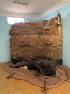 Gallery Thumbnail 24