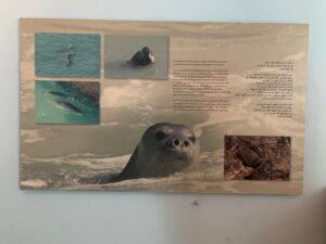 Gallery Thumbnail 14