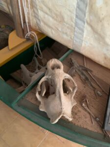 Gallery Thumbnail 15