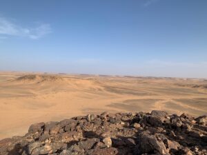 Gallery Thumbnail 28