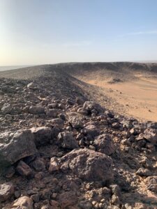 Gallery Thumbnail 29