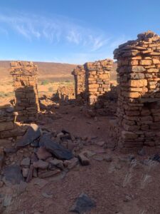 Gallery Thumbnail 16