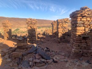 Gallery Thumbnail 17