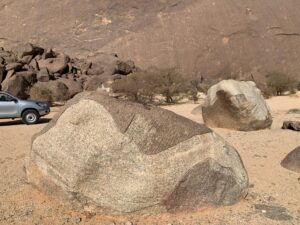 Gallery Thumbnail 19