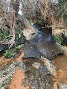 Gallery Thumbnail 11