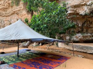 Gallery Thumbnail 12