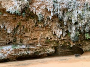 Gallery Thumbnail 10