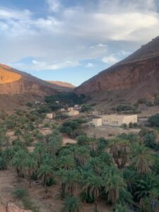 Gallery Thumbnail 14