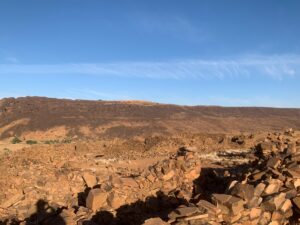 Gallery Thumbnail 18