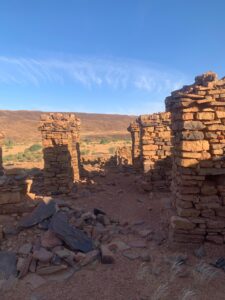 Gallery Thumbnail 22