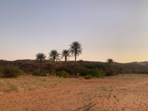 Gallery Thumbnail 14