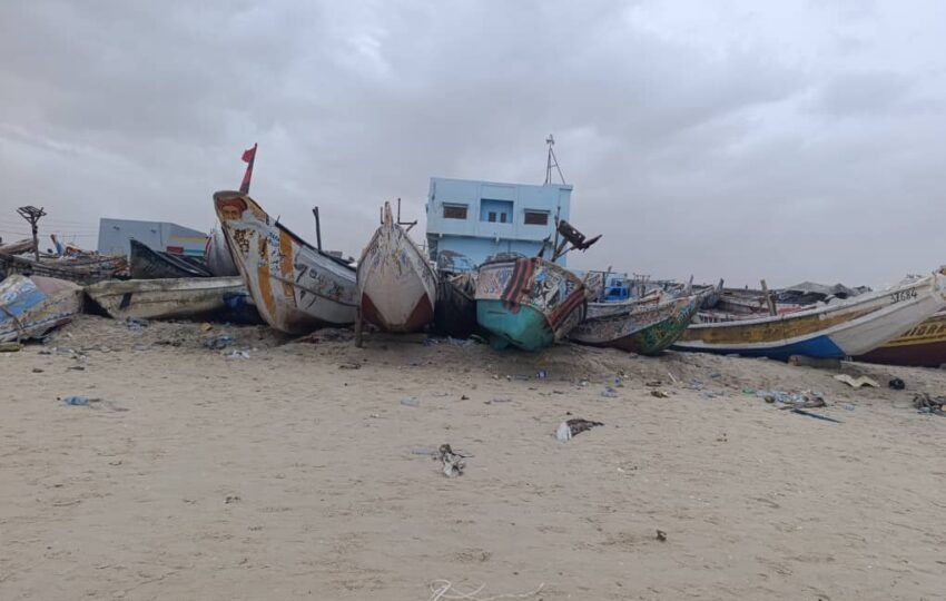 Adrar Region Extended Tour (11)