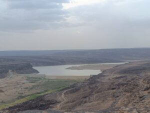 Gallery Thumbnail 10