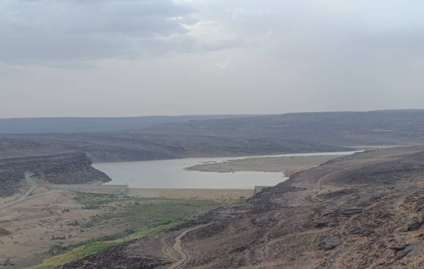 Adrar Region Extended Tour (12)