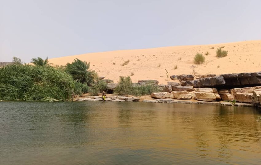 Adrar Region Extended Tour (3)