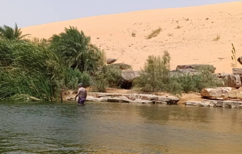 Adrar Region Extended Tour (4)