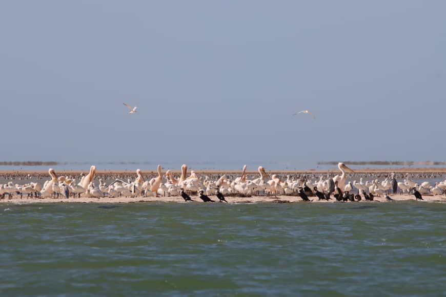 Banc Darguin And Adrar Tour (1)