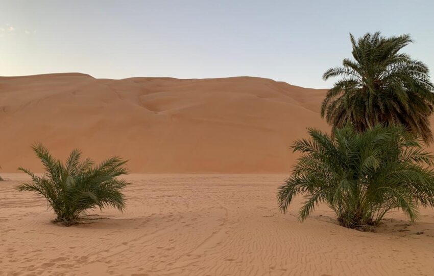 Banc Darguin And Adrar Tour (9)