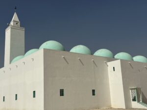 Gallery Thumbnail 17