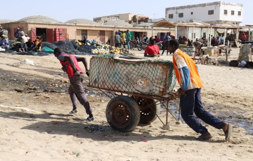 Nouakchott (20)