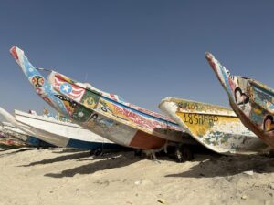 Gallery Thumbnail 12