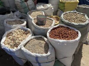 Gallery Thumbnail 15