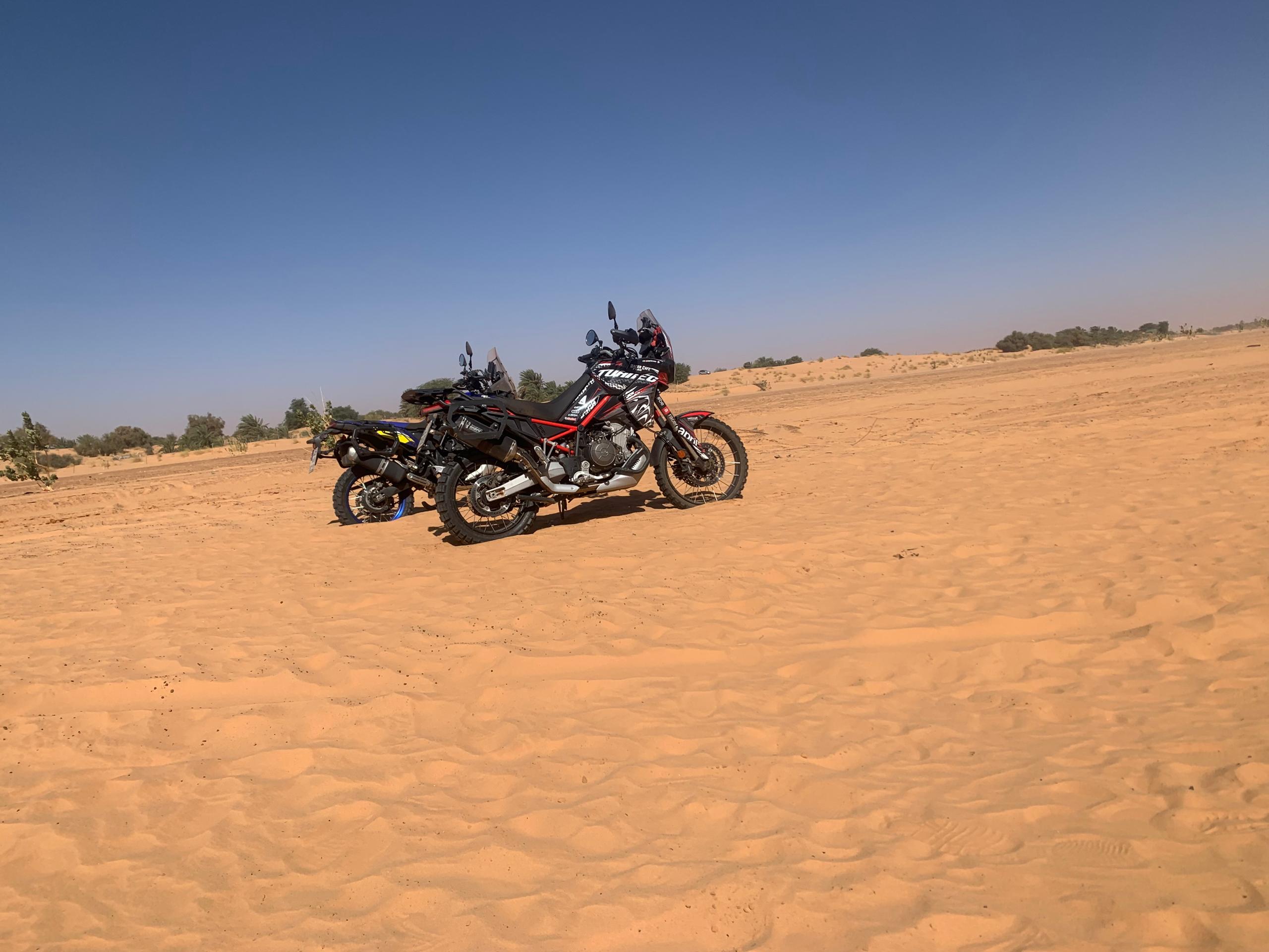 WhatsApp Image 2025-10-11 at 7.53.55 PM (1)