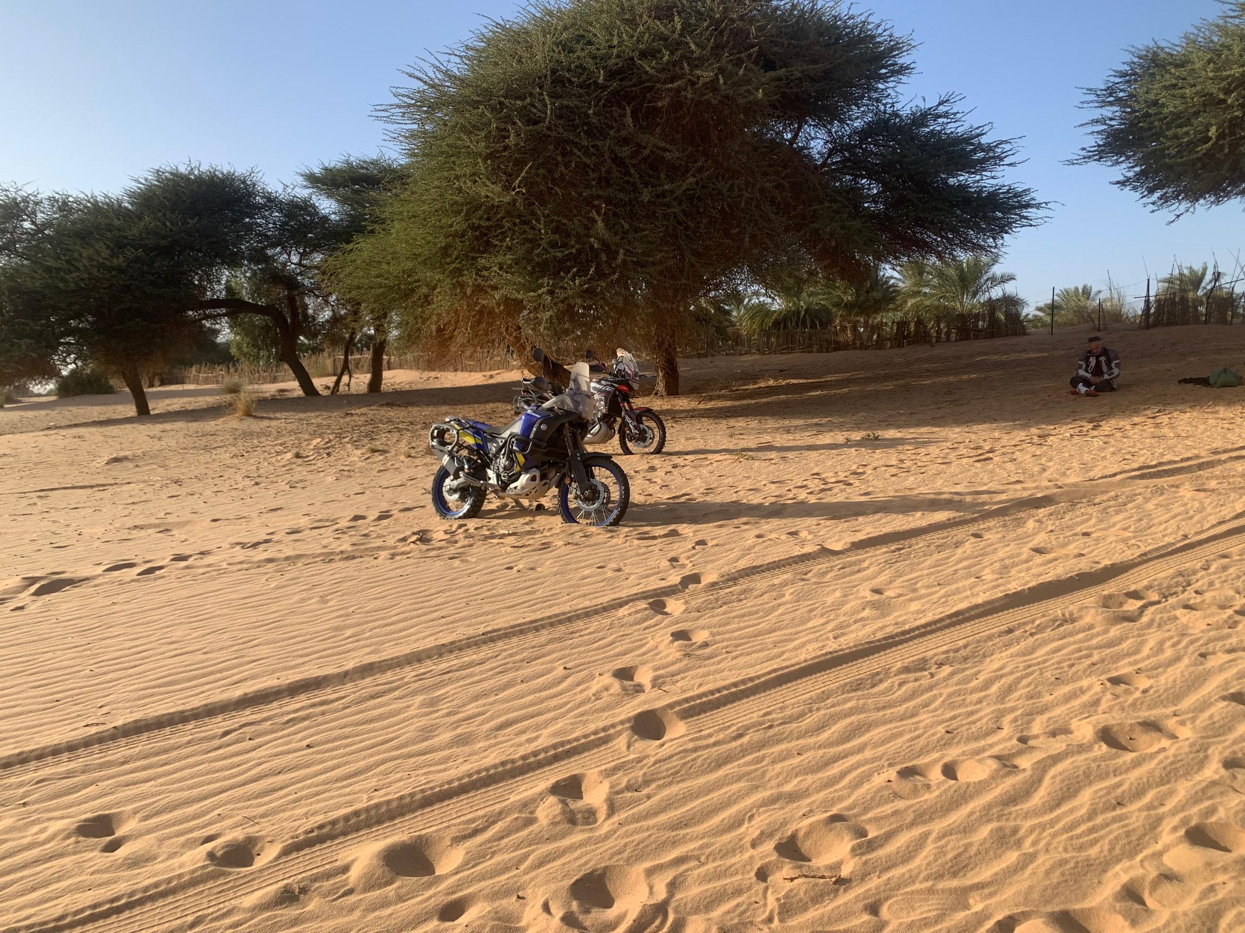 WhatsApp Image 2025-10-11 at 7.53.58 PM