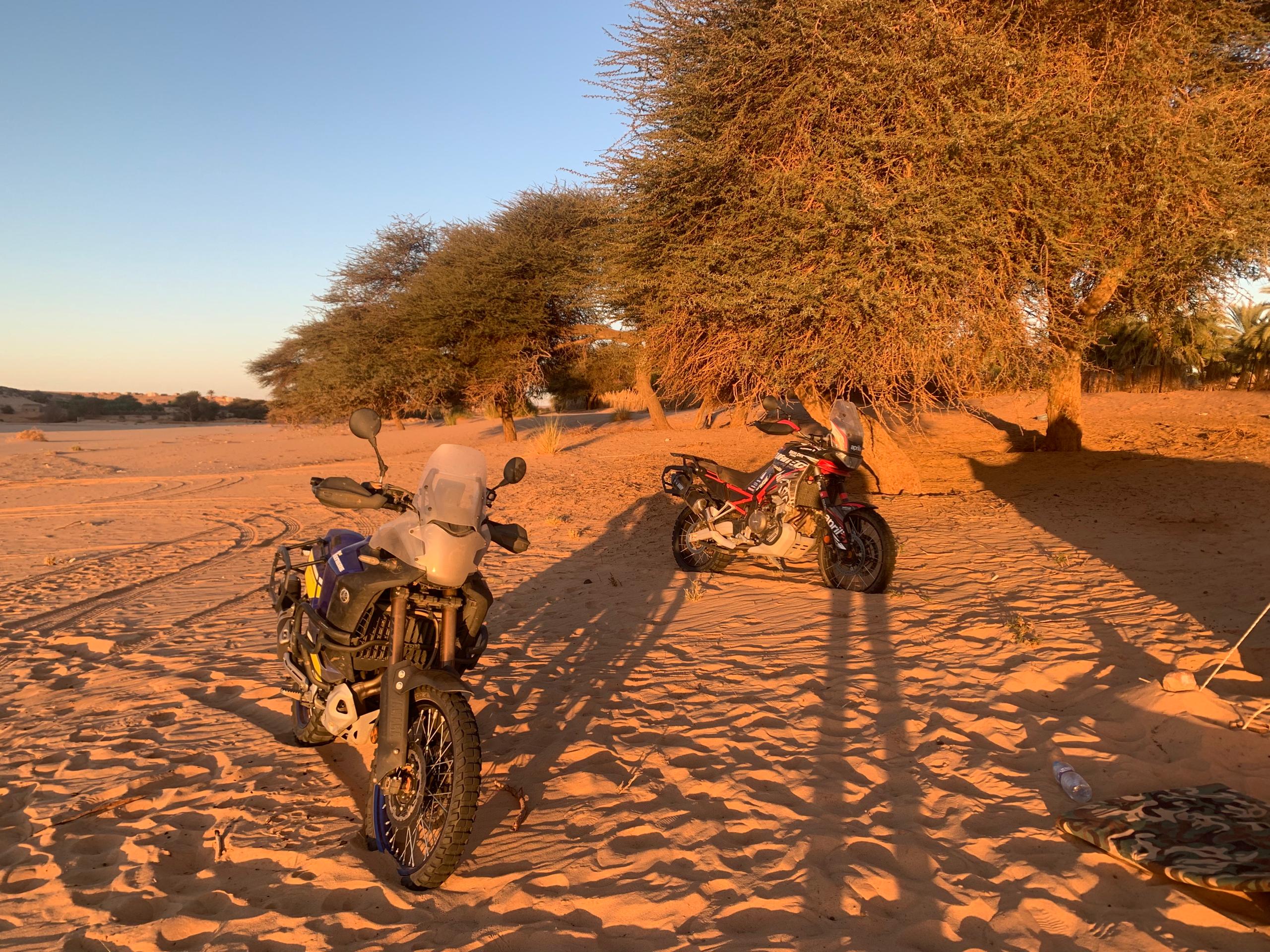 WhatsApp Image 2025-10-11 at 7.54.01 PM (1)