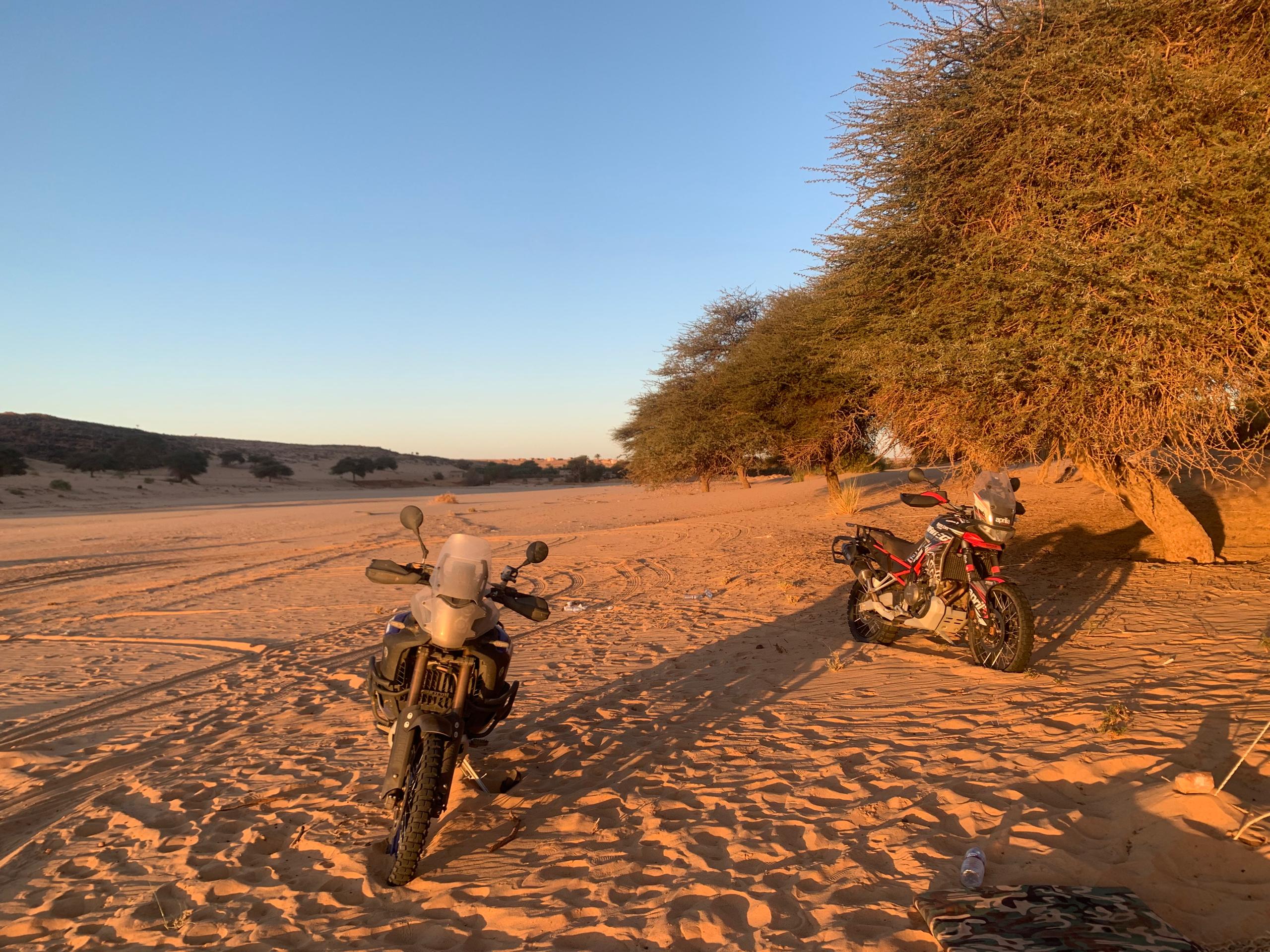 WhatsApp Image 2025-10-11 at 7.54.02 PM