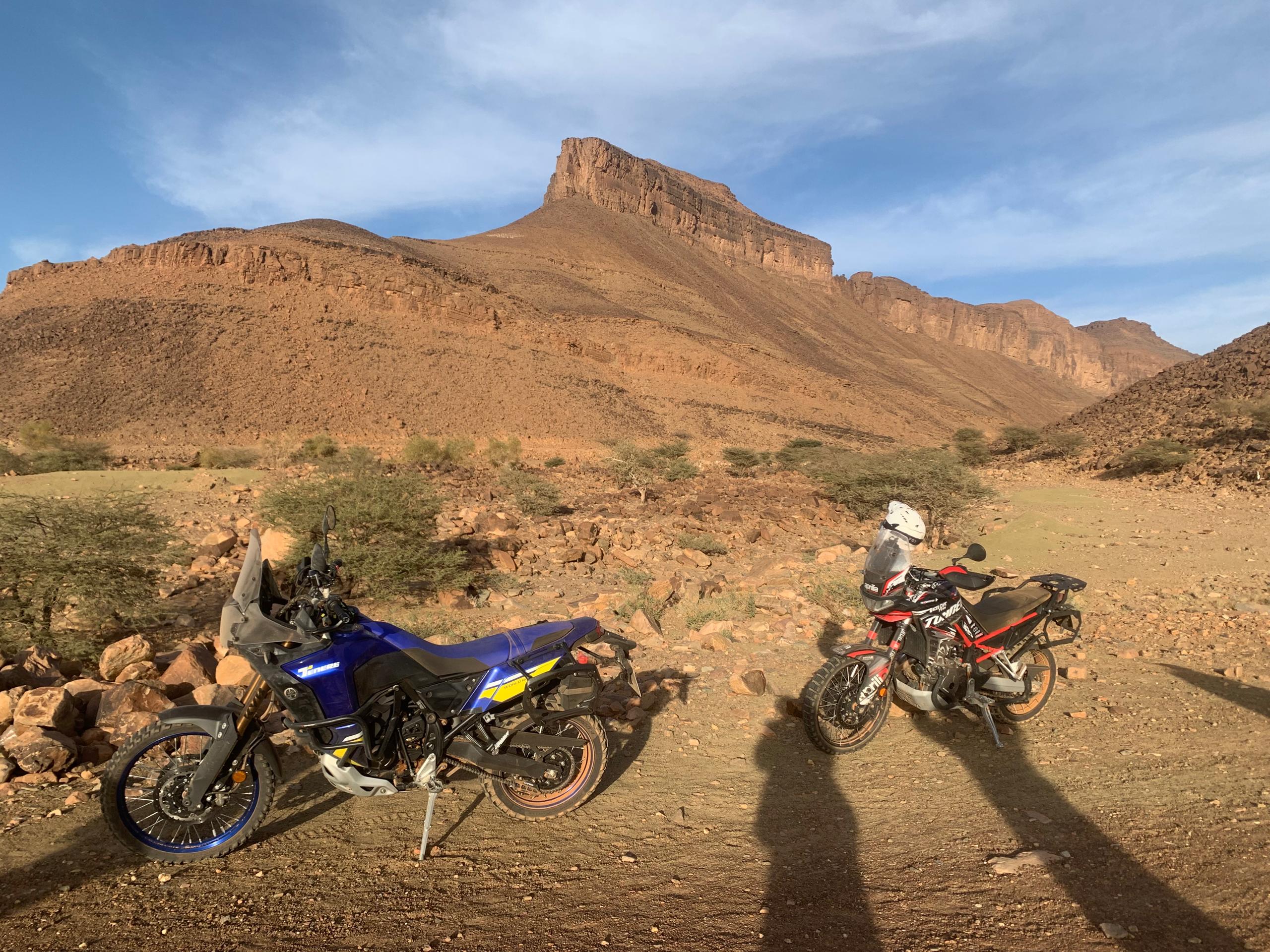 WhatsApp Image 2025-10-11 at 7.54.14 PM (1)